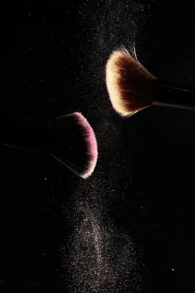 brosse maquillage